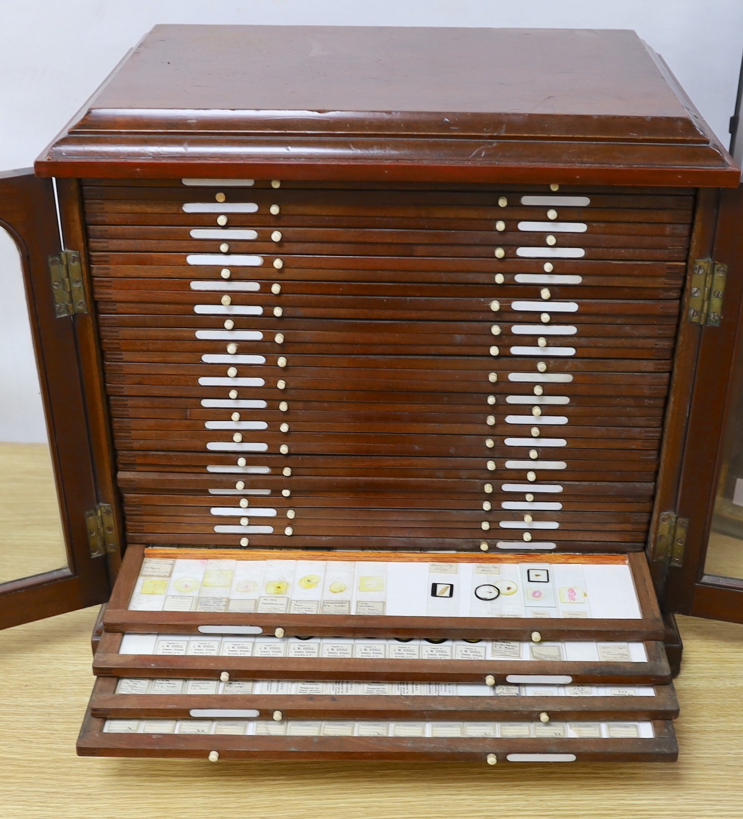 An Edwardian mahogany microscope slide collector's cabinet, eight trays containing insect, zoological histology and botany slide specimens, 48 cm high, 51 cm wide, 36 cm deep